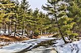 Winter Stream_21949